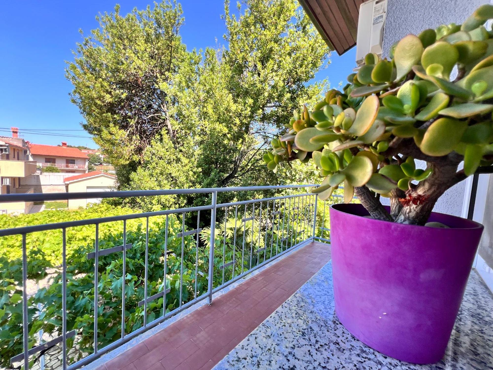 Apartma Nikolina Pula